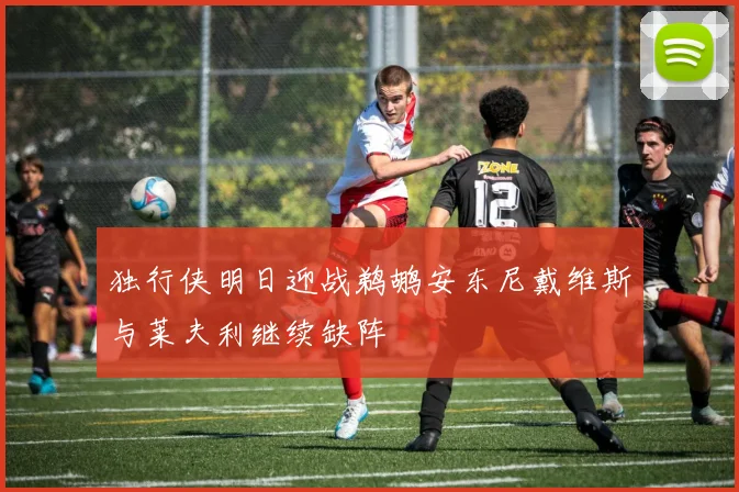 独行侠明日迎战鹈鹕安东尼戴维斯与莱夫利继续缺阵