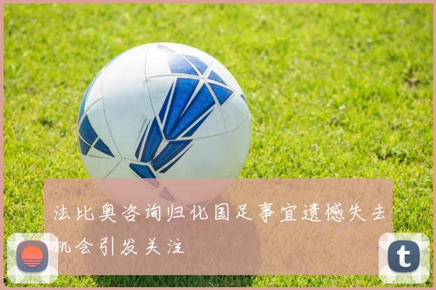 法比奥咨询归化国足事宜遗憾失去机会引发关注