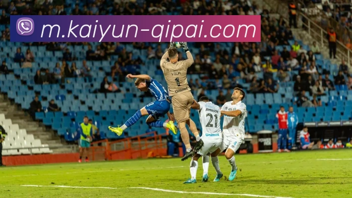 多媒体互动体验